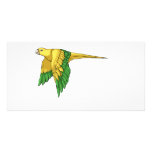 Golden Conure Products photo cards