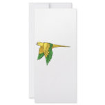 Golden Conure Products rack cards
