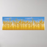 Golden Crop posters