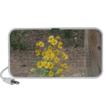 Golden crownbeard iPod speaker