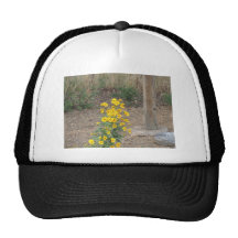 Golden crownbeard mesh hat