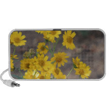 Golden crownbeard mp3 speaker