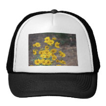 Golden crownbeard trucker hat