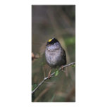 Golden-crowned Sparrow Rack Card Template