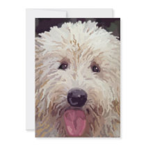 Golden Doodle Look Cards