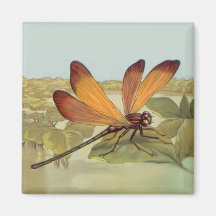 Golden Dragonfly Fridge Magnet