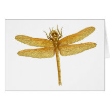 Golden Dragonfly Greeting Card