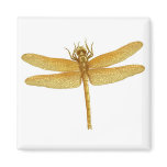 Golden Dragonfly Magnet
