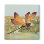 Golden Dragonfly magnets