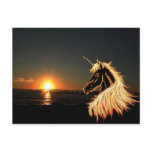 golden dreams postcard