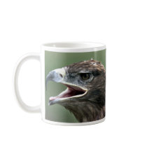 Golden Eagle, (Aquila chrysaetos) Mug