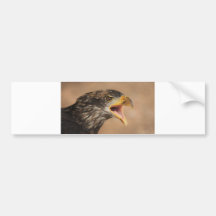 Golden Eagle Bumper Sticker