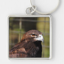 Golden Eagle Key Chains