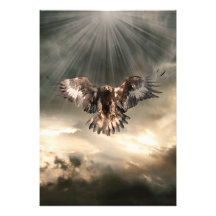 Golden Eagle Photo
