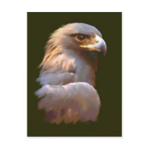 Golden Eagle Post Cards