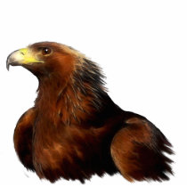 GOLDEN EAGLE (sculpted) Wildlife Gift Item Photo Sculpture