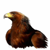 GOLDEN EAGLE (sculpted) Wildlife Magnet Acrylic Cut Outs