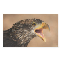 Golden Eagle Rectangle Sticker