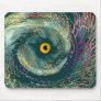 Golden Eye Mouse Pads