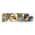 Golden Eyes (Wolf) Bumper Sticker bumper stickers