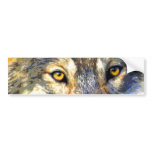 Golden Eyes (Wolf) Bumper Sticker bumper stickers