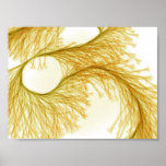 golden fern image posters