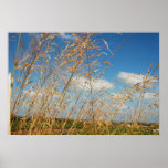 Golden Fields posters
