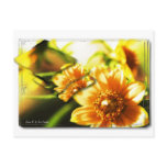 Golden Flower Post Card