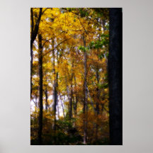 Golden Forest Poster