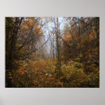 Golden Forest posters