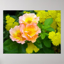 Golden Garden Beauty Poster