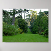 Golden Gate Park Posters