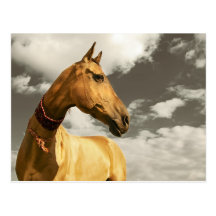 Golden horse of Turkmenistan Post Card