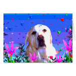 Golden Lab Greeting Card
