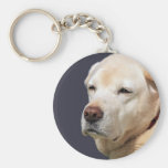 golden labrador key chain