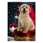 Golden Labrador Retriever Christmas Cards