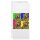 Golden Labrador Retriever Collage rack cards