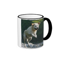 Golden Labrador Retriever jumping into river Coffee Mugs