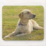 Golden Labrador Retriever Mousepad