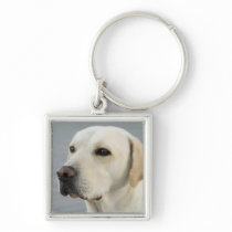 Golden Labrador Retriever Photograph Key Chains