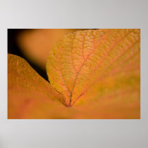 Golden leaf abstract print