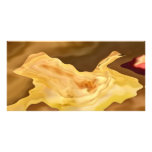 Golden Leaf -  Gold Colour Therapy Art photo cards
