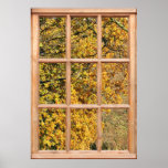 Golden Leaves of Autumn from a Window posters