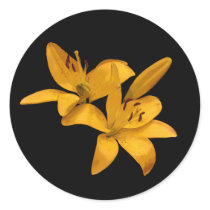 Golden Lilies