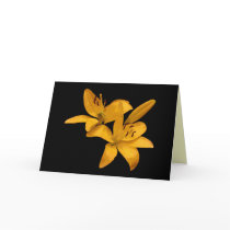 Golden Lilies Thinking of You