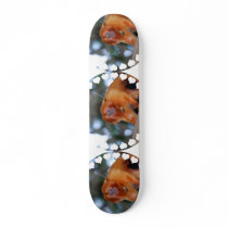 Golden Lion Tamarin Skateboard