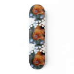 Golden Lion Tamarin Skateboard