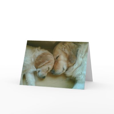 Golden Love Greeting Card by mariondeans