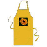 Golden Marigold and meaning aprons