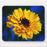 Golden Marigold and meaning mousepads